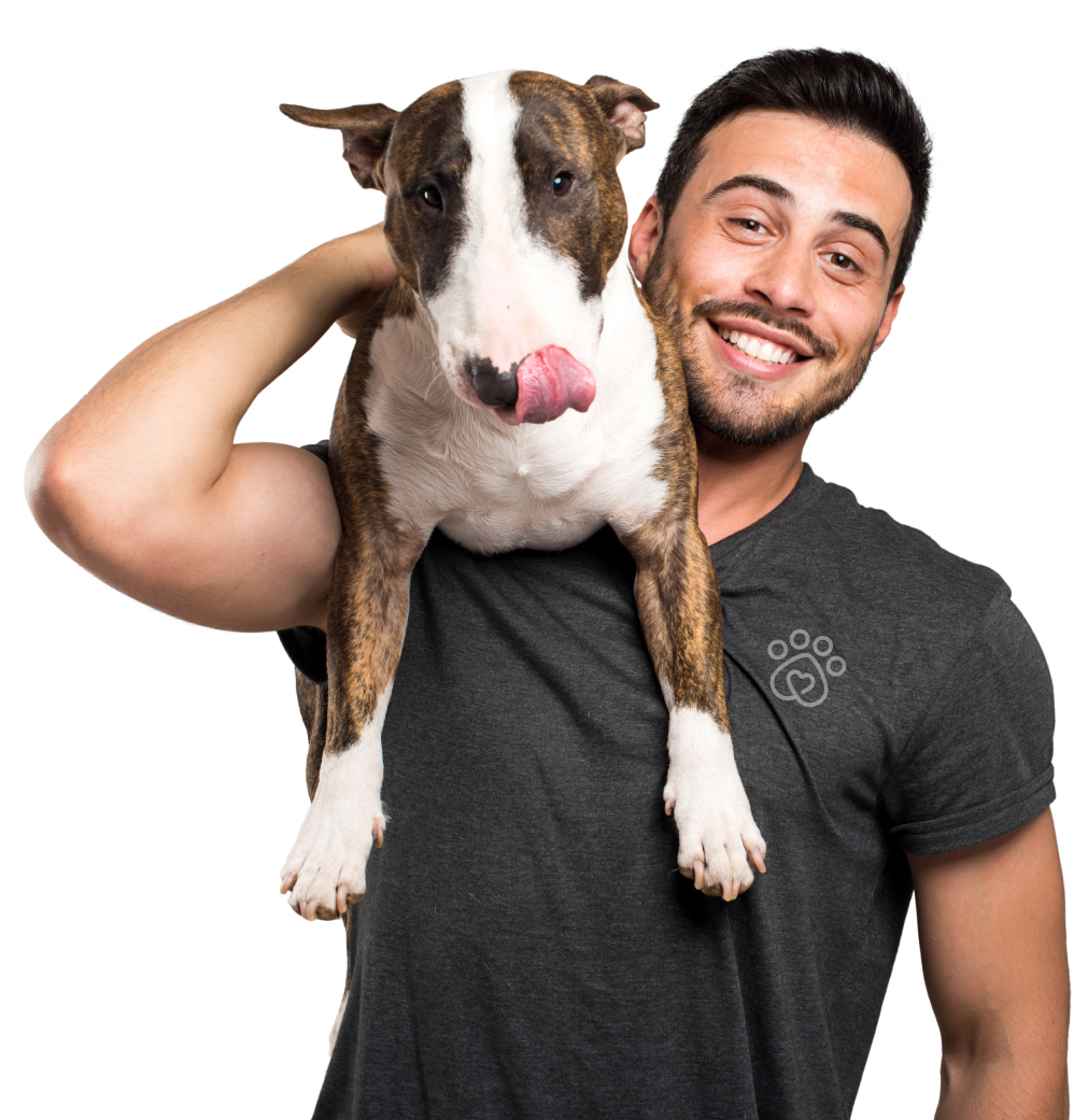 BECOME A FETCH AMBASSADOR