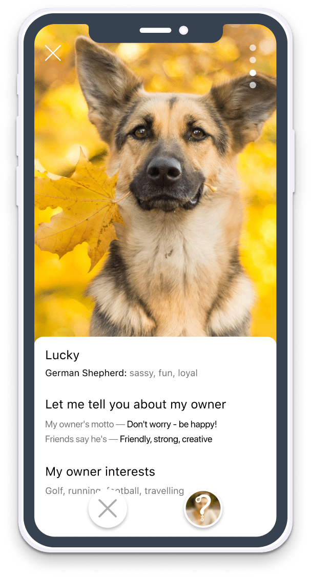 is the icebreaker! Your Pet's photo is seen first.
